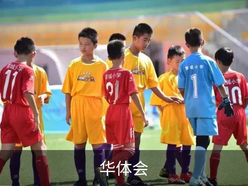 华体会概况